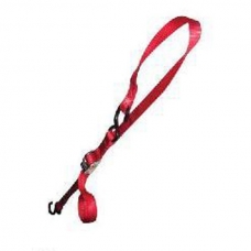 Erickson Motorcycle/ATV Tie-Downs